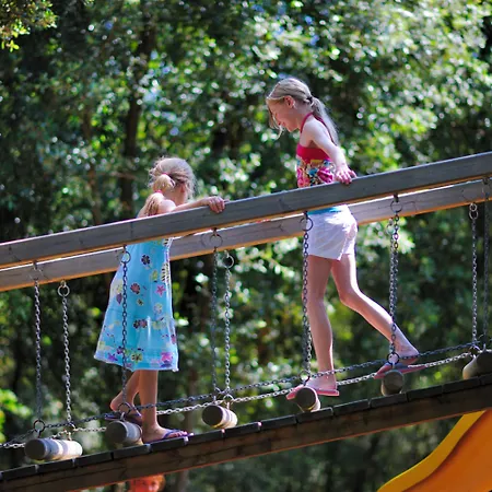 Hotel Valamar Pinia Poreč