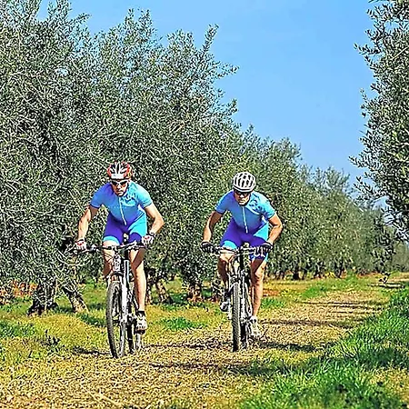 Valamar Pinia Пореч