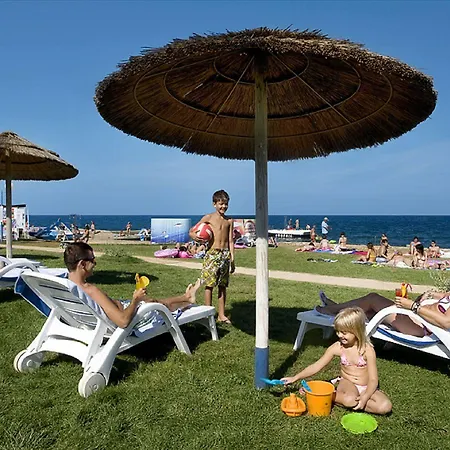 ホテル Valamar Pinia 3*
